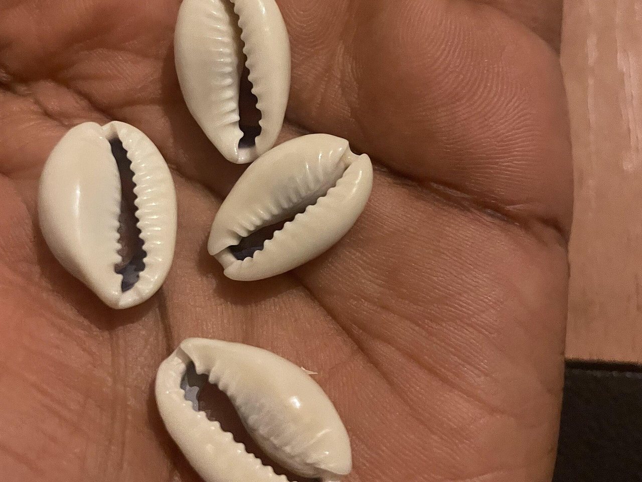 Four cowrie shells in an open palm
